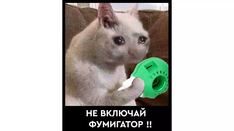 1726259102197.webp
