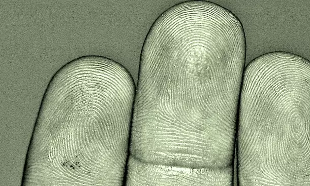 fingerprints.webp