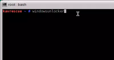 windowsunlocker1.png