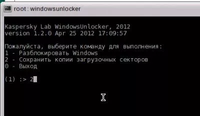 windowsunlocker2.jpg