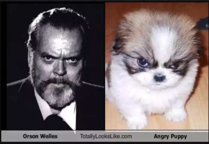 orson welles.jpg