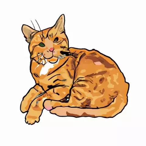 Draw a ginger cat (1).webp