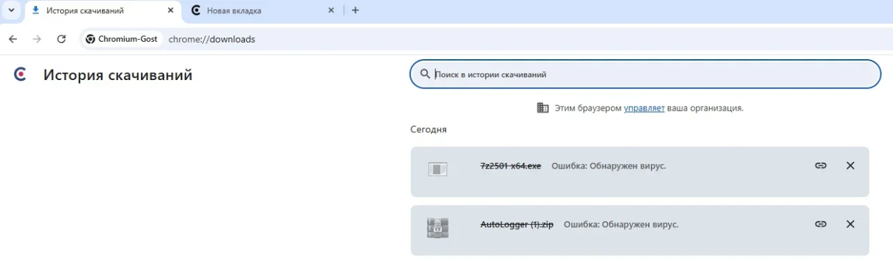 Из Хромиум Гост.webp