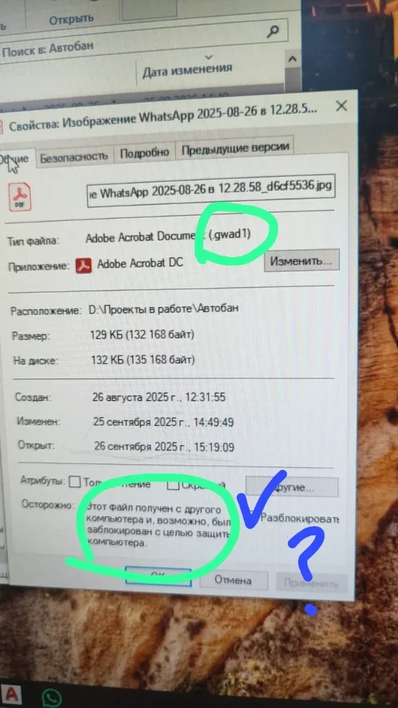 Изображение WhatsApp 2025-09-26 в 15.27.06_1bee005c.webp