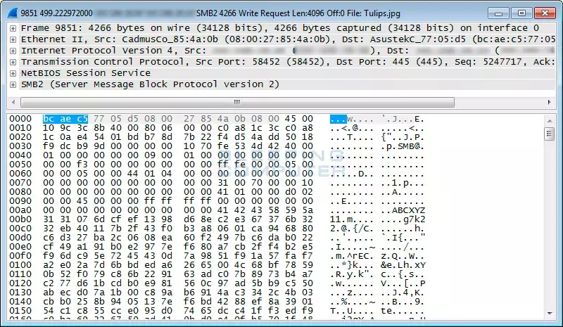 samba-encryption.webp