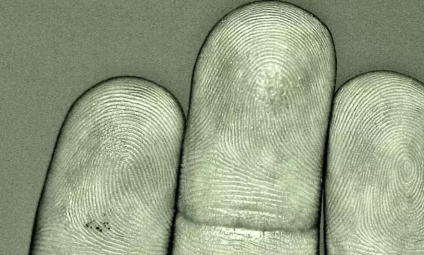 fingerprints.png