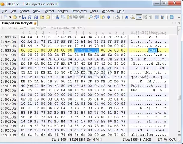 locky-embedded-rsa-key.webp