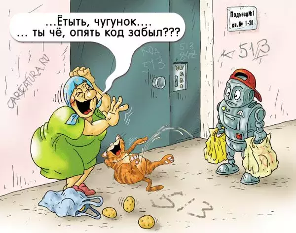 19434.webp