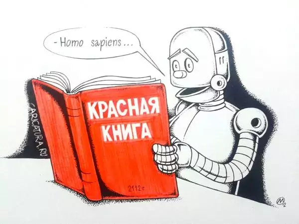 19316.webp