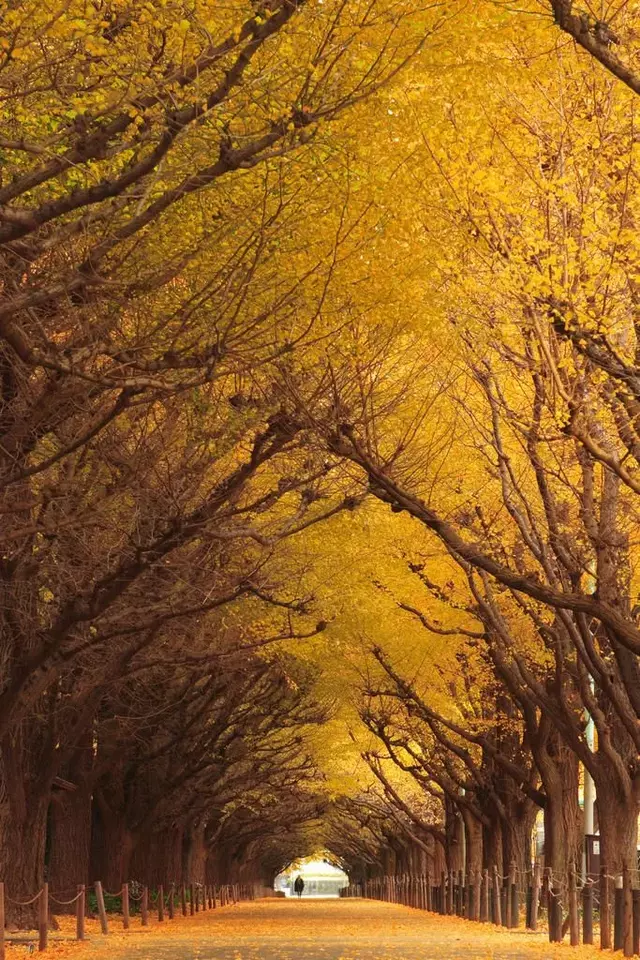 044.webp