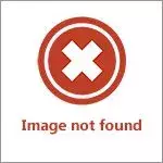 73038632bad1c441fe8ae20c947be3a3.webp