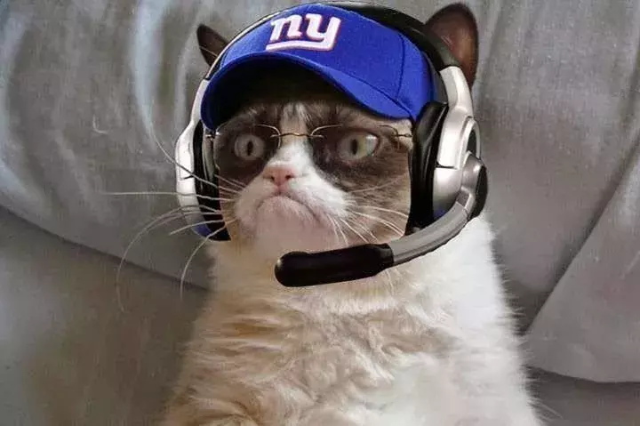 coach%20cat%20ny.jpg