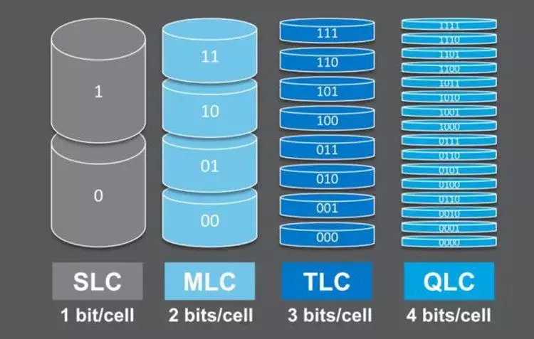 crucial2.webp