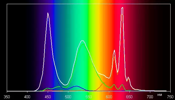 spectrum.webp