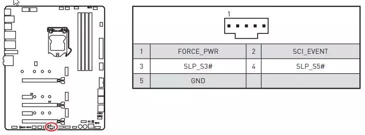 thunder2.webp