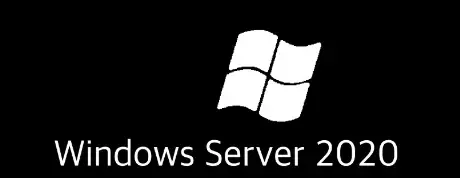 winserv-logo.webp