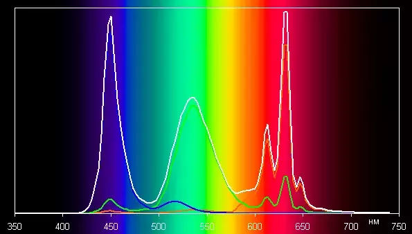 spectrumsrgb.webp