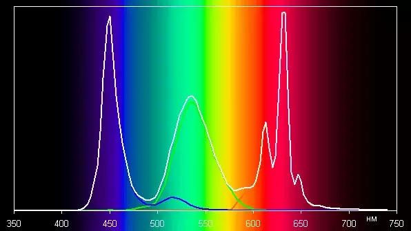 spectrumdci.webp