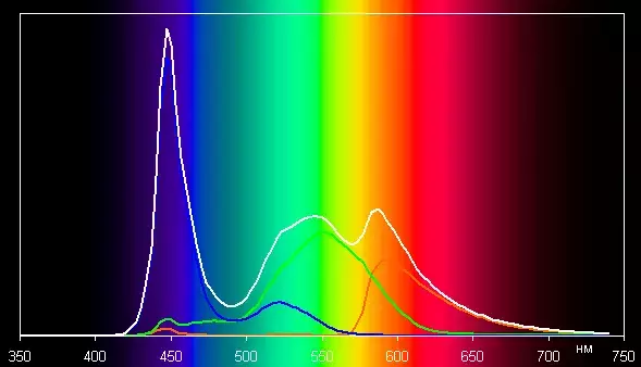 spectrum.webp