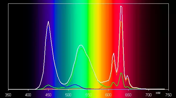 spectrumsrgb.webp