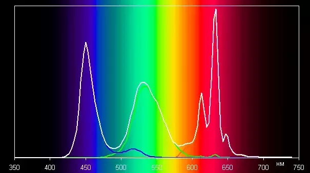 spectrumdci.webp