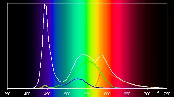 spectrum.webp