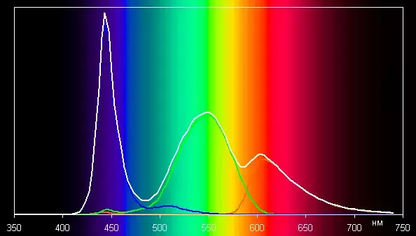 spectrum.webp