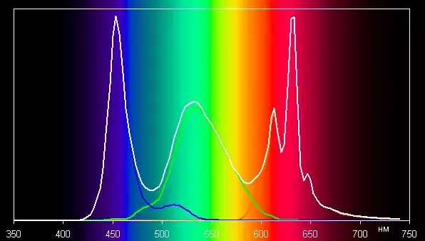 spectrum.webp