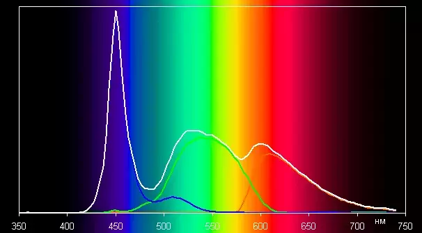 spectrum.webp