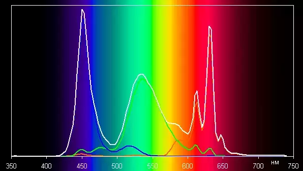 spectrum.webp