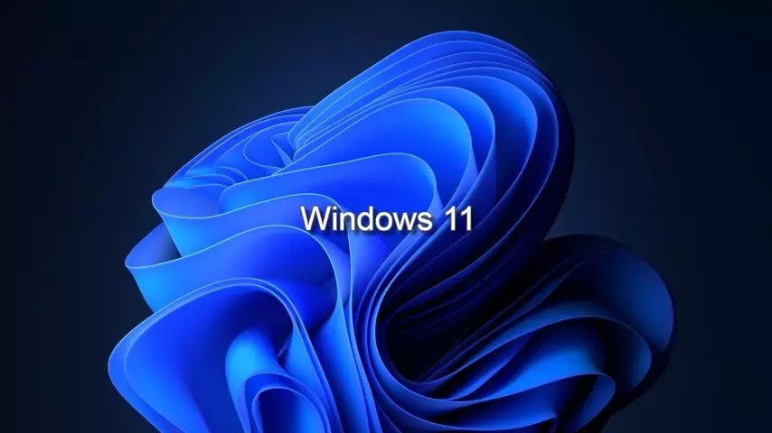 Windows-11-logo.webp