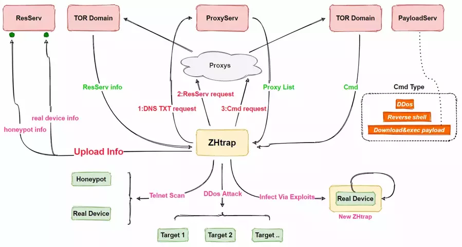 ZHtrap%20architecture.webp