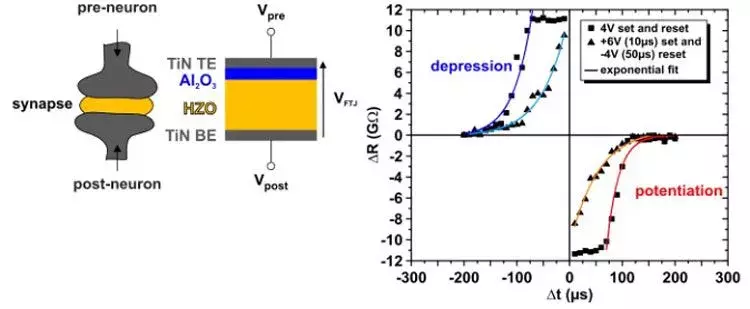 Figure2-1.webp