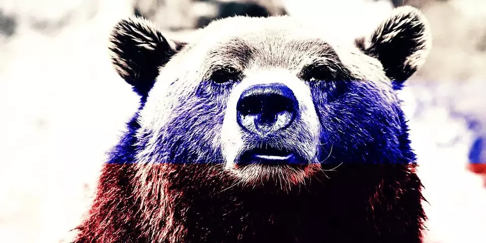 Bear.webp