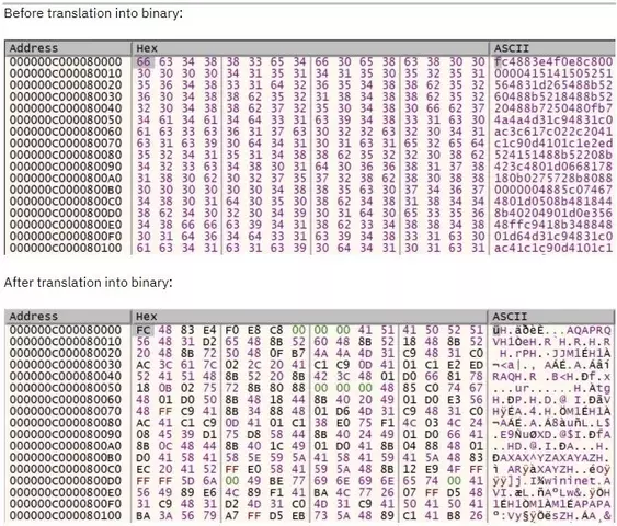 before-after.webp