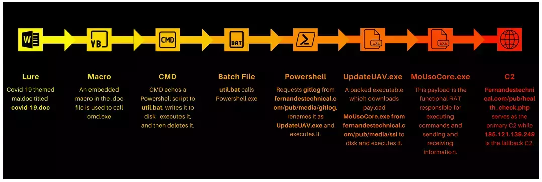 infection-process.webp