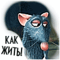 масяня@