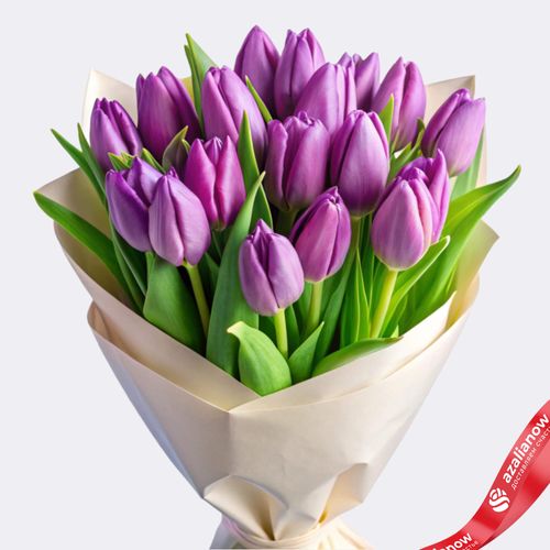 Тюльпаны: символ весны и элегантности