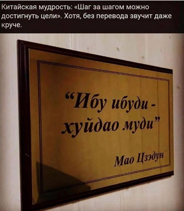 21031995.jpg
