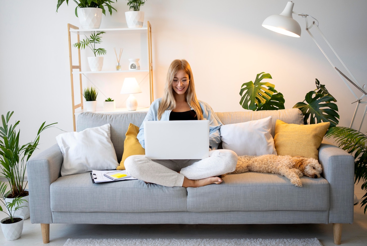 full-shot-woman-working-with-dog_23-2149047335.jpg